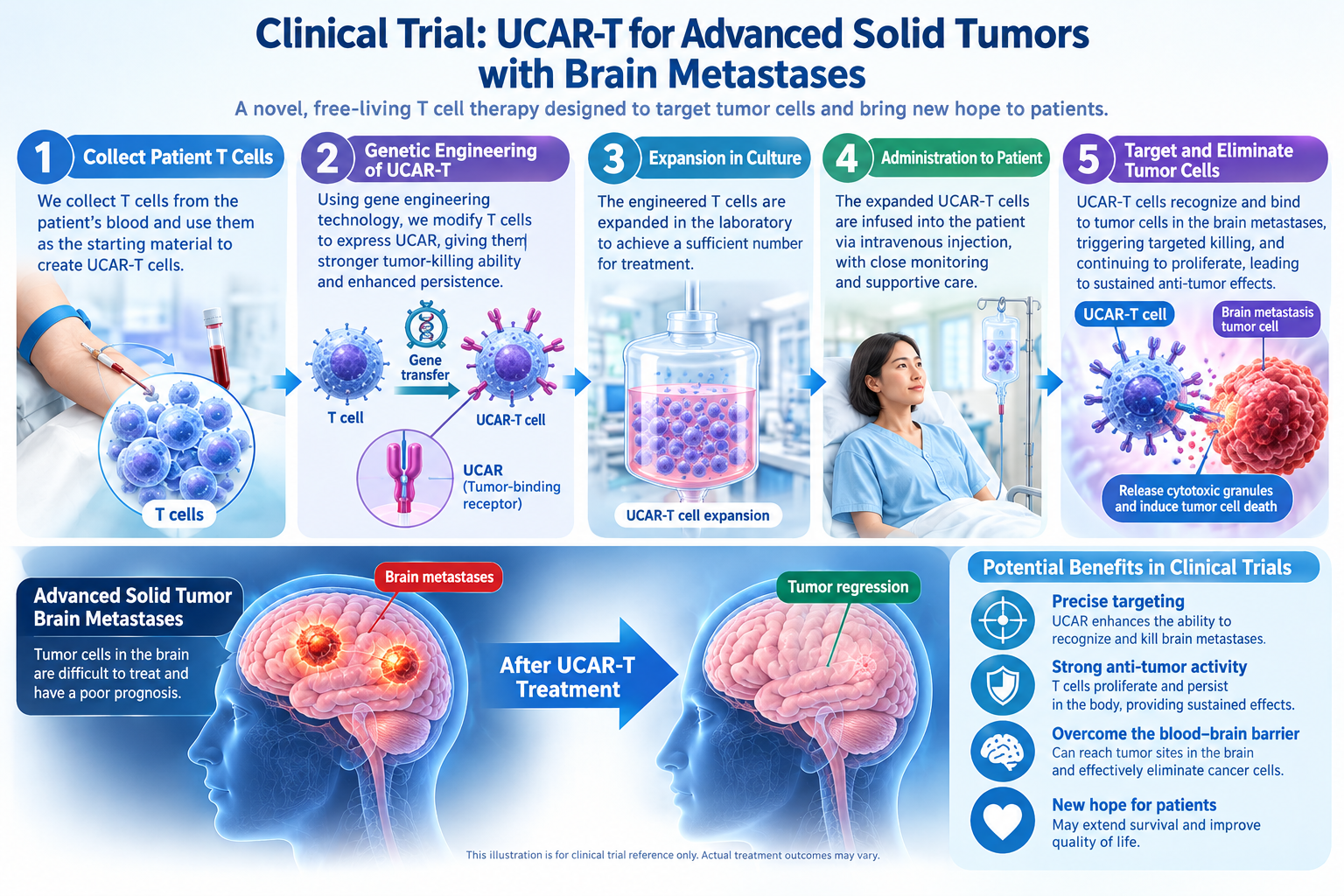 Congratulations! VCRO Supports UCAR-T Phase II Trial for Brain Metastases from Solid Tumors, Receiving U.S. FDA Authorization to Proceed